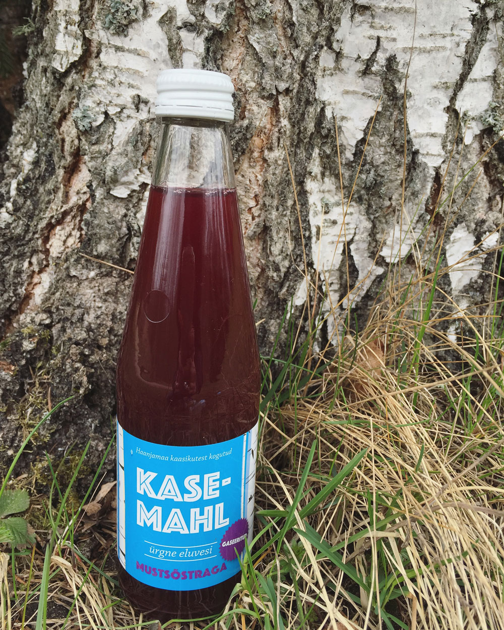 kasemahl mustsõstraga