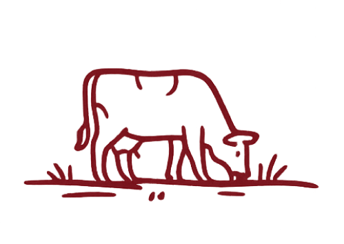 Oma farmi piim